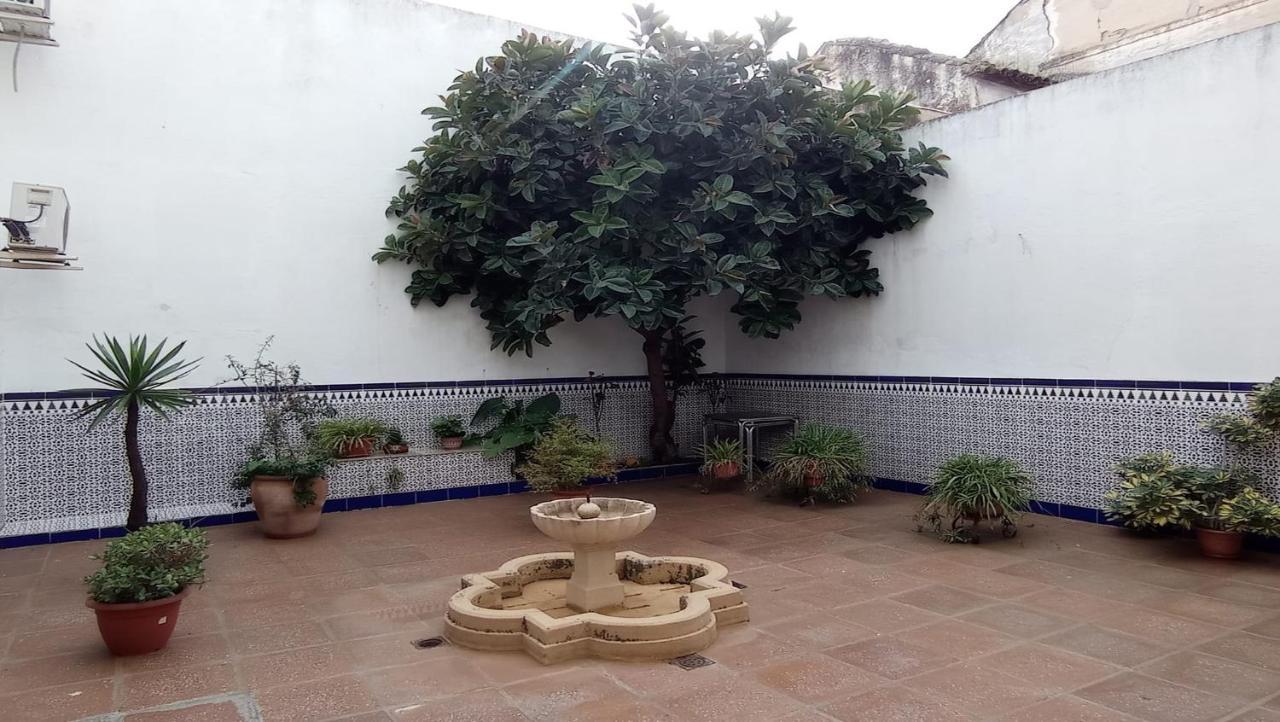 Ferienwohnung Apartamento La Palma Córdoba Exterior foto